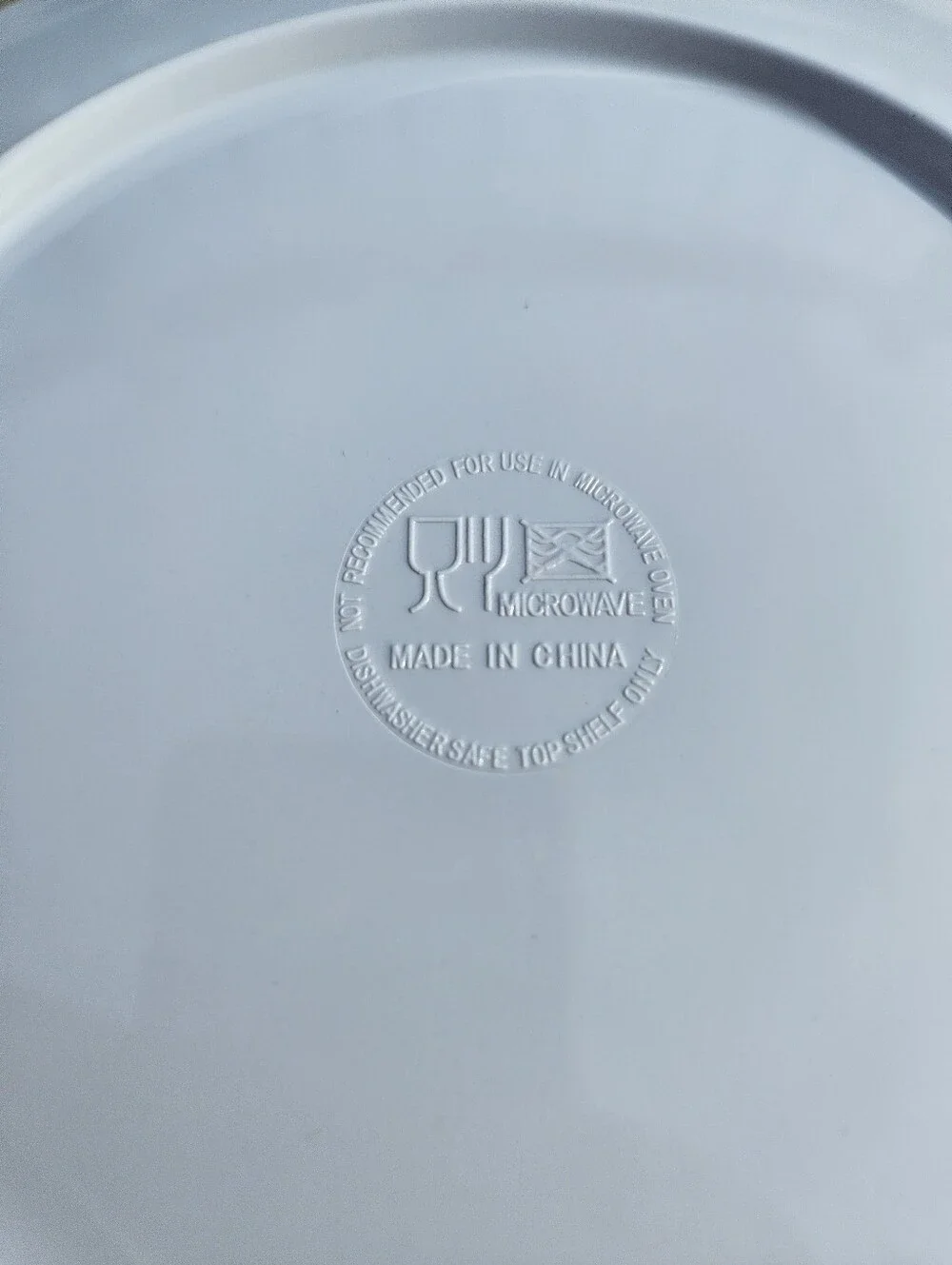 Tropical Jungle Monstera Palm Dinner Plates 9